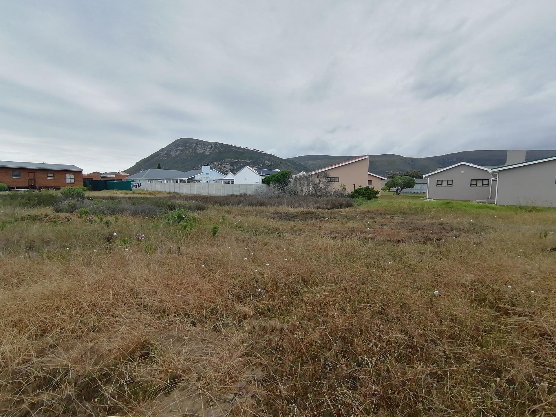 Image 14