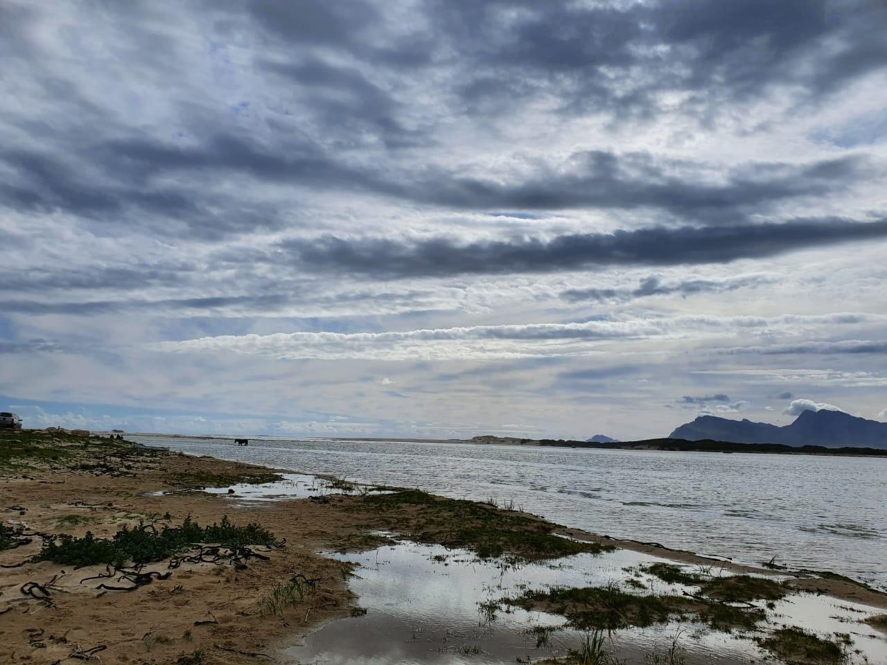 Image 15