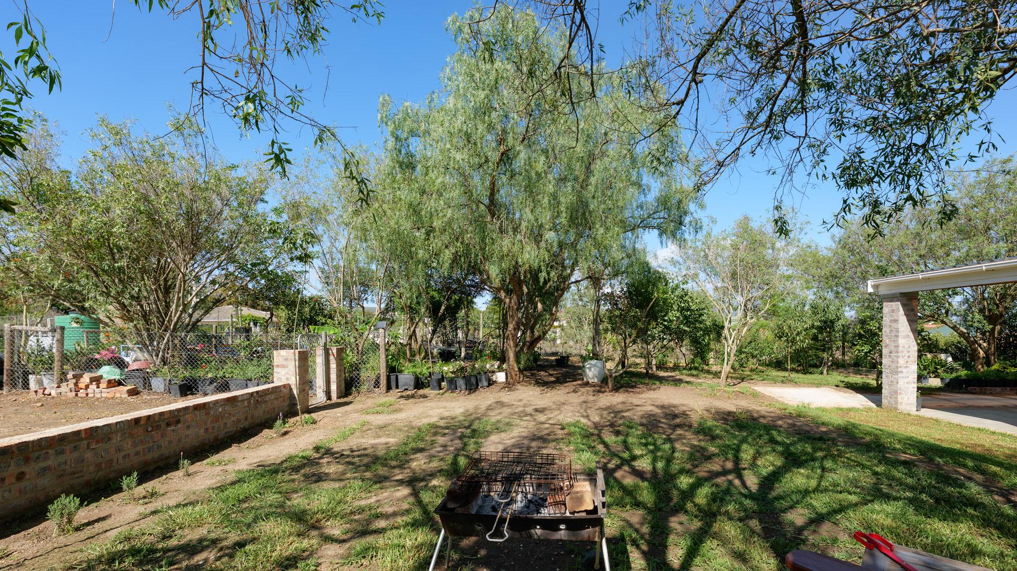 Image 19