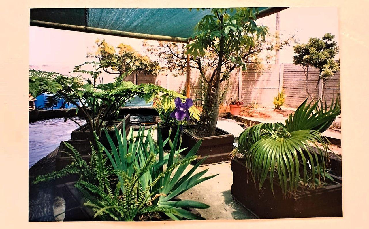 Image 32