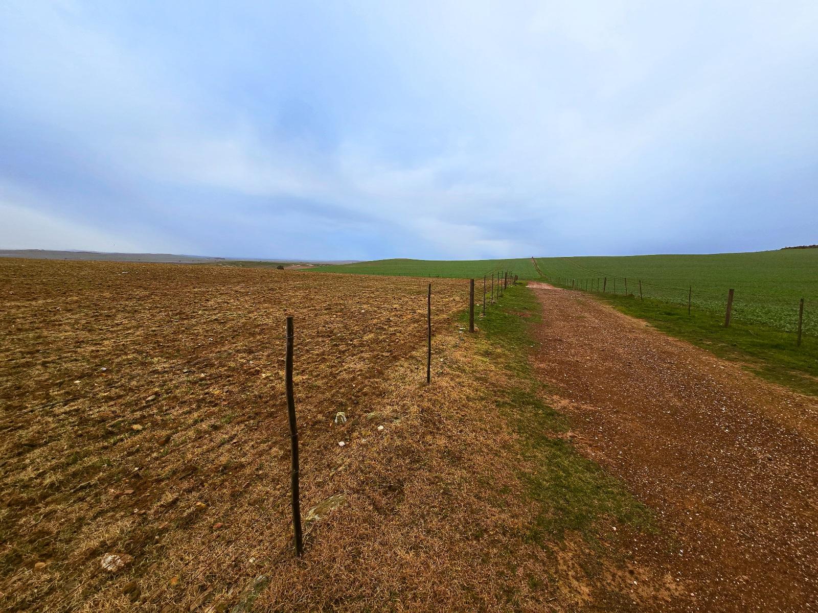Image 5 of 6