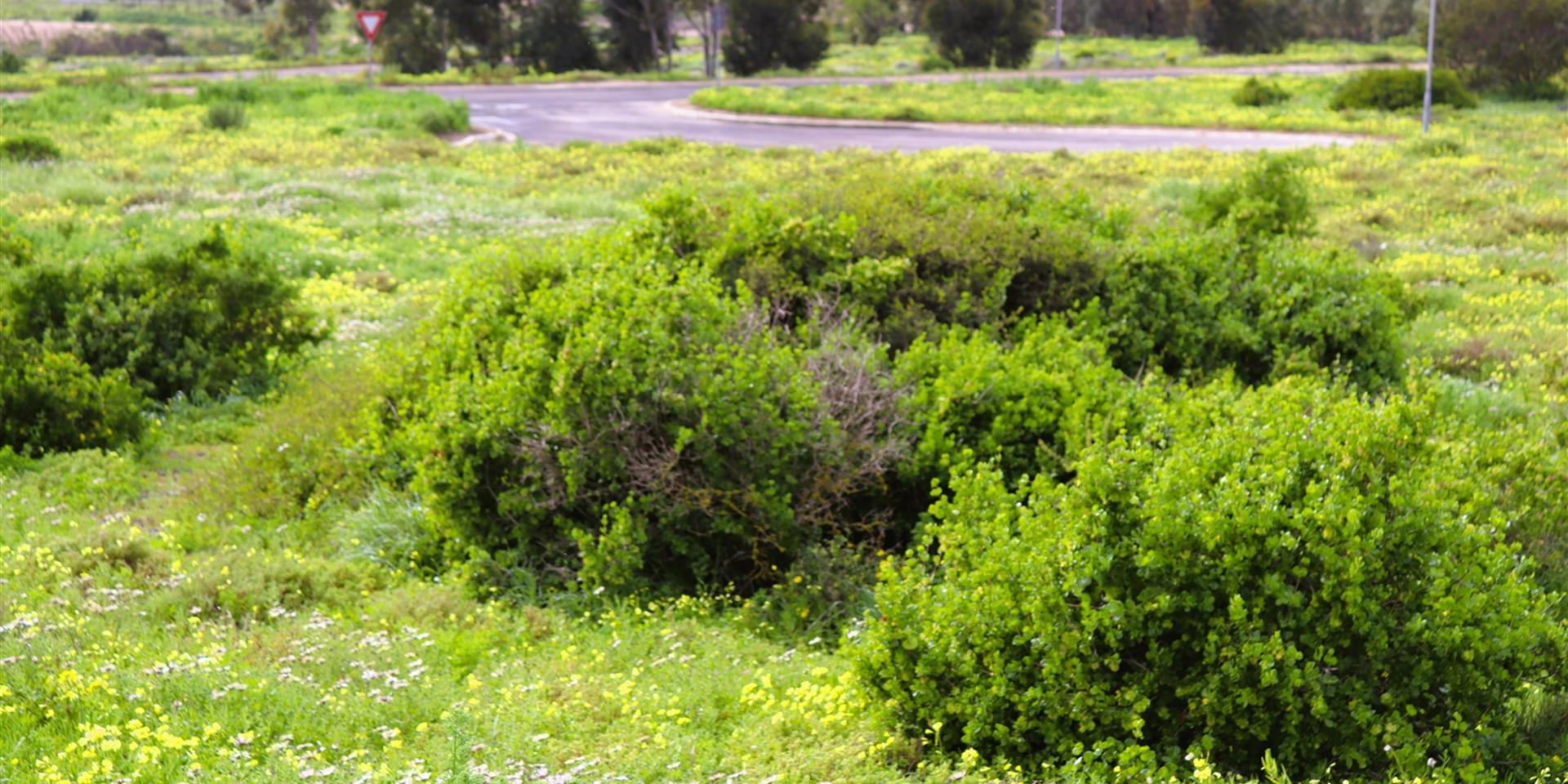 Image 3 of 6