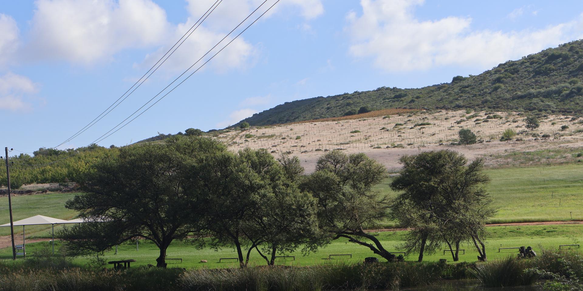 Image 5 of 6