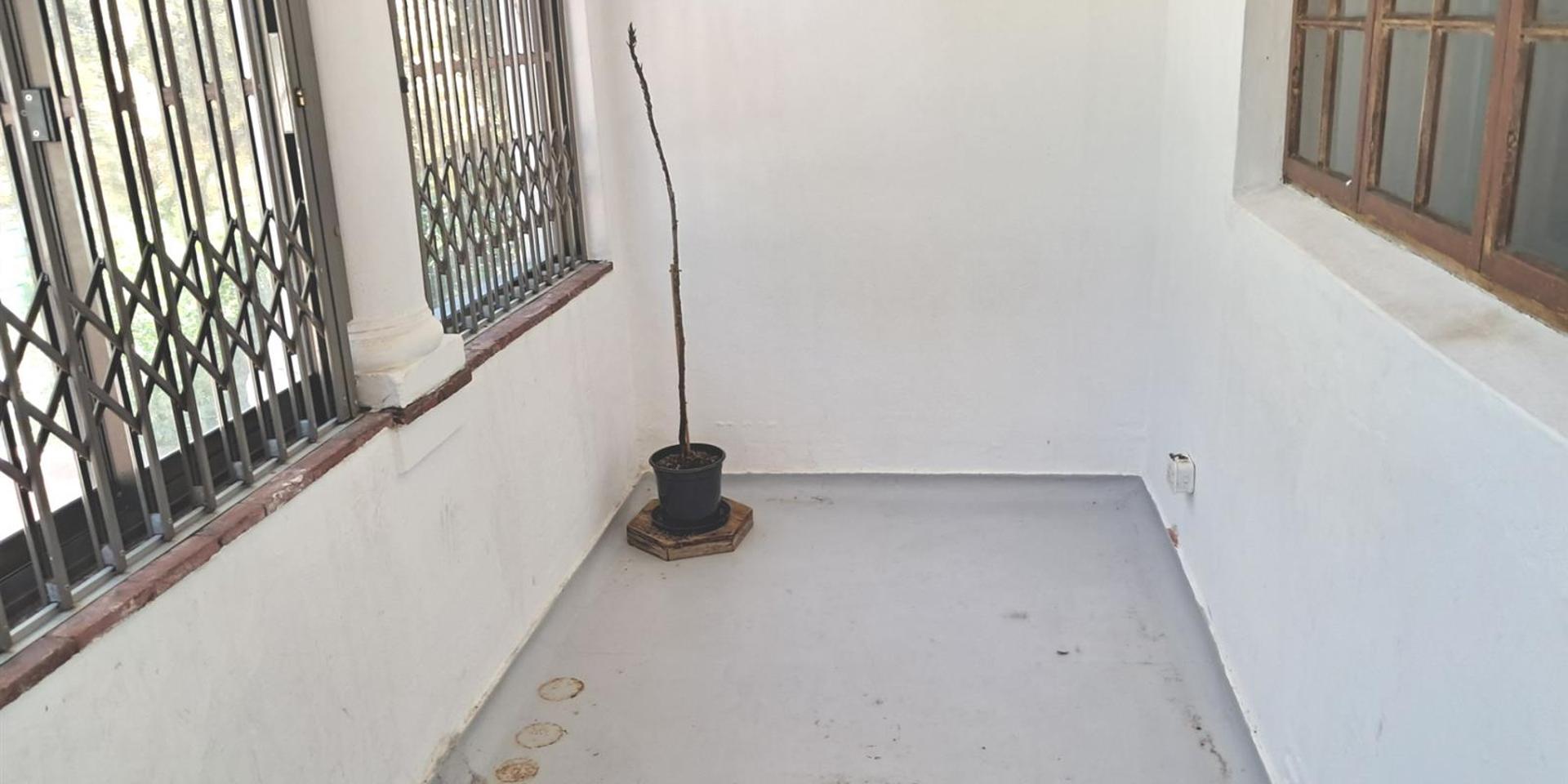 Image 5 of 6