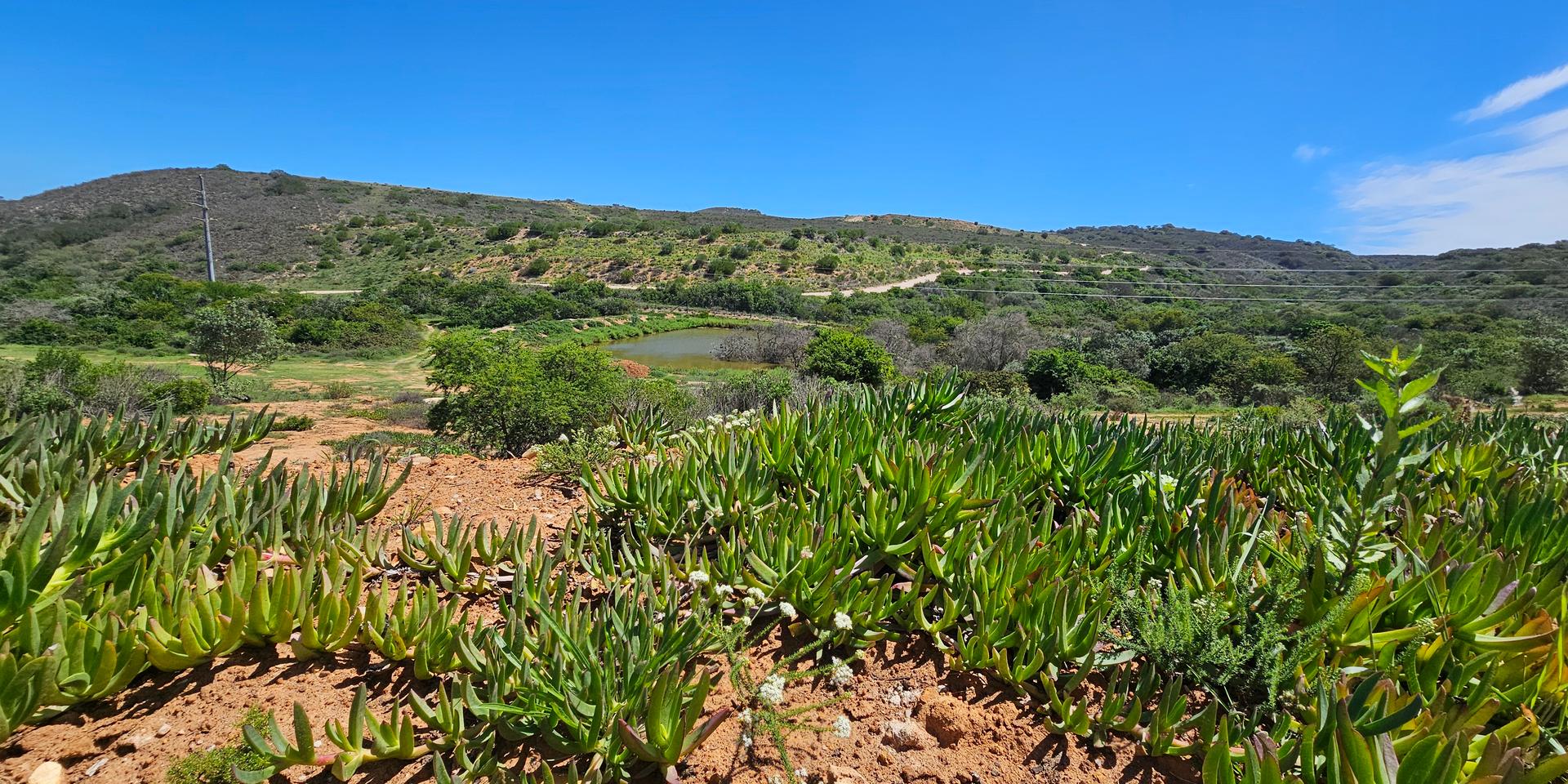 Image 3 of 6