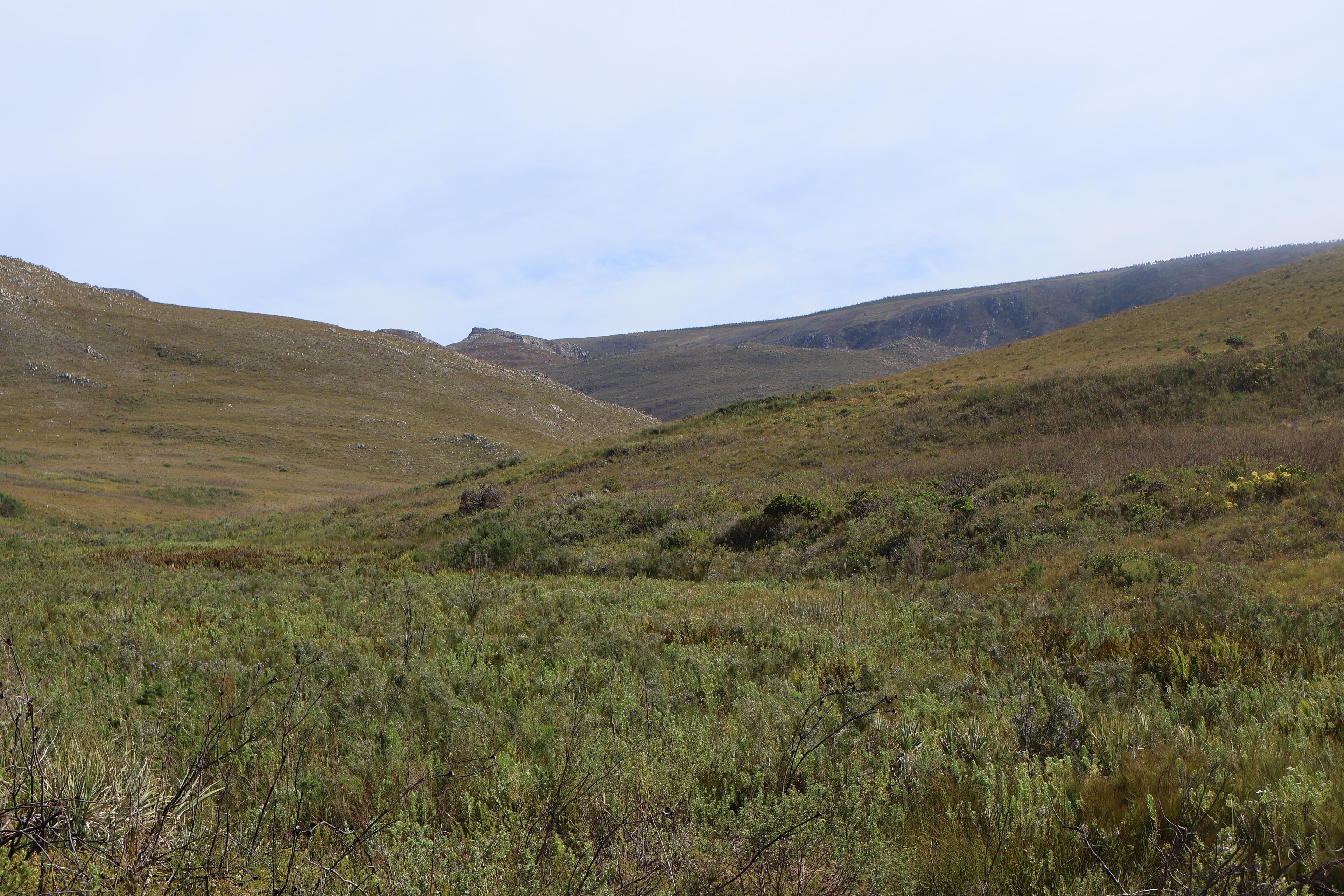 Image 13