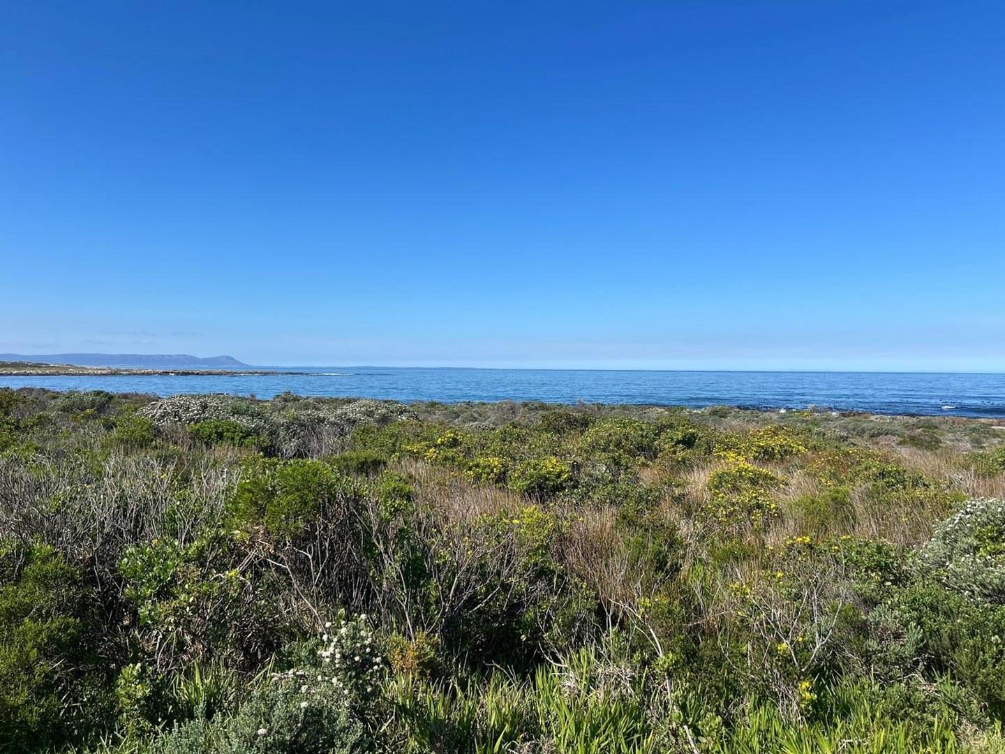 Image 5 of 6