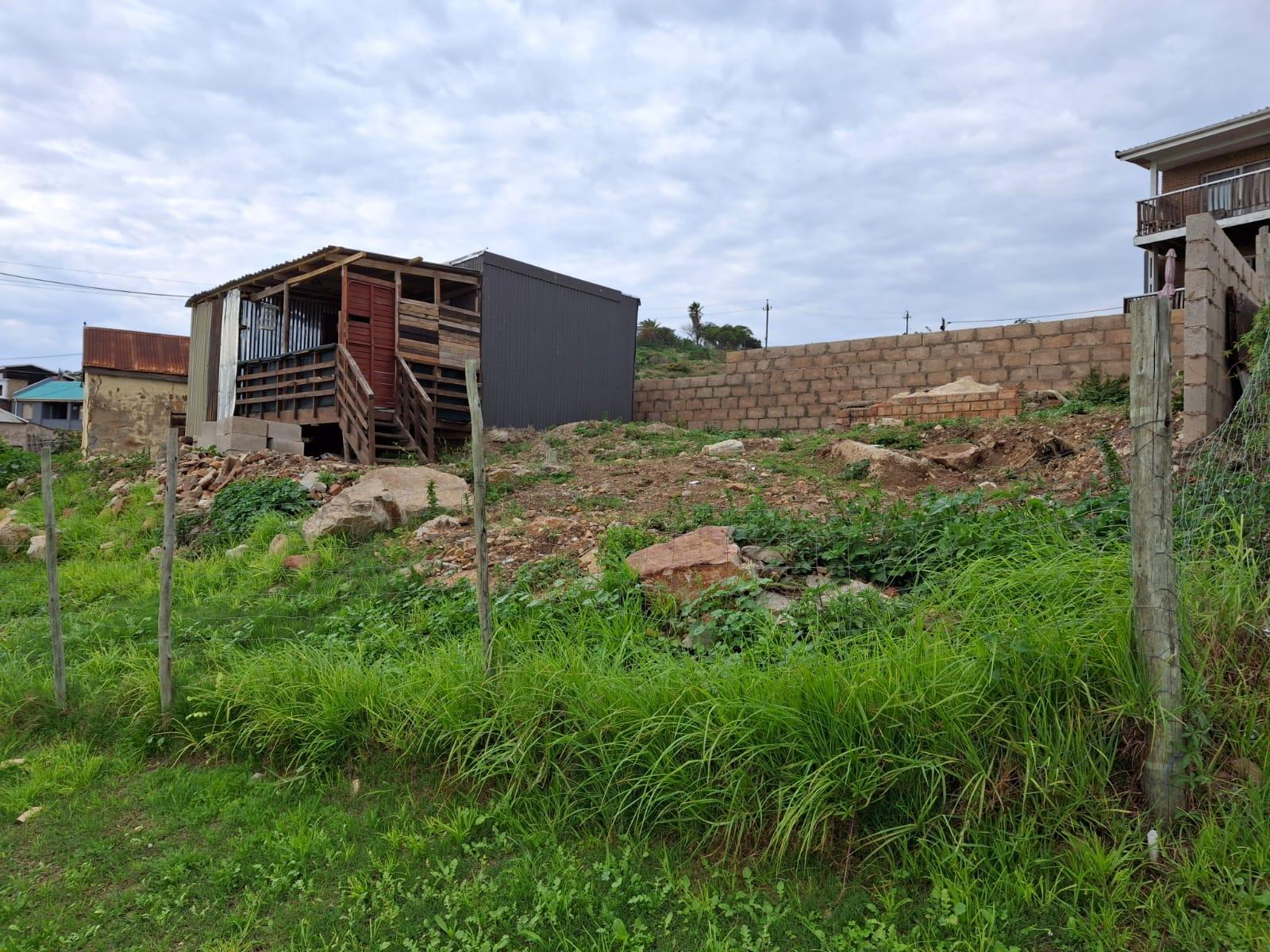 Image 13