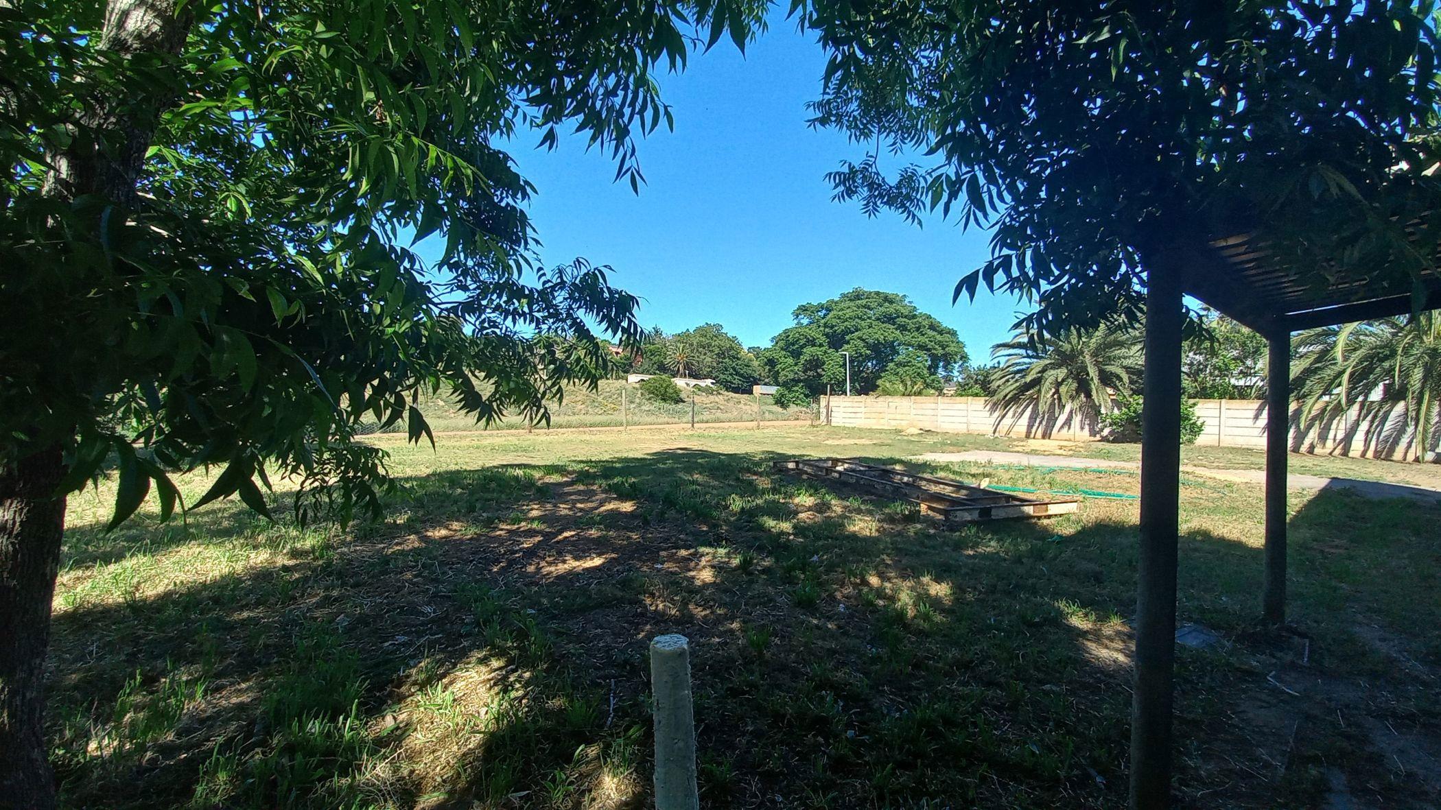 Image 12