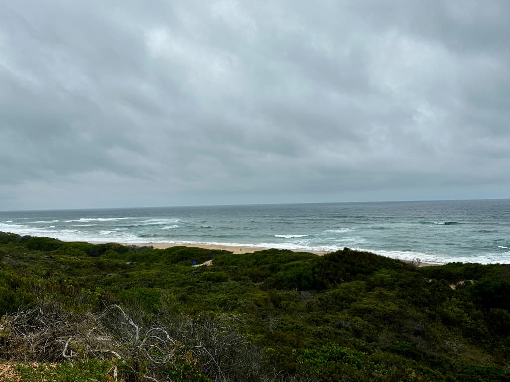Image 4 of 6