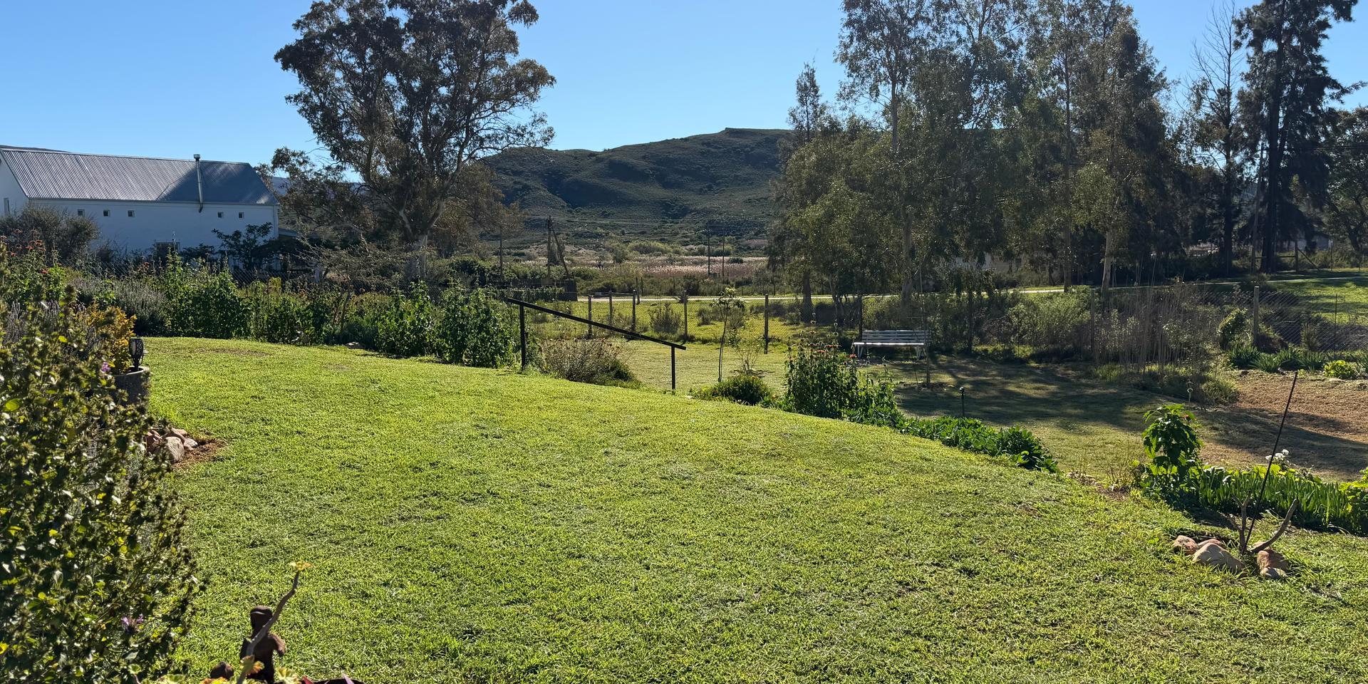 Image 5 of 6
