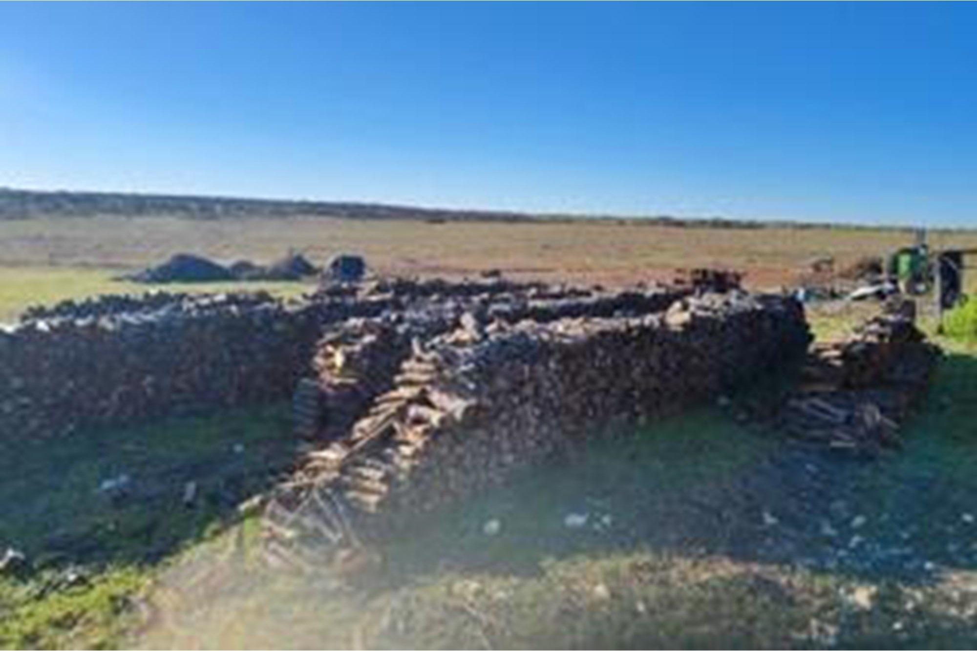 Image 14