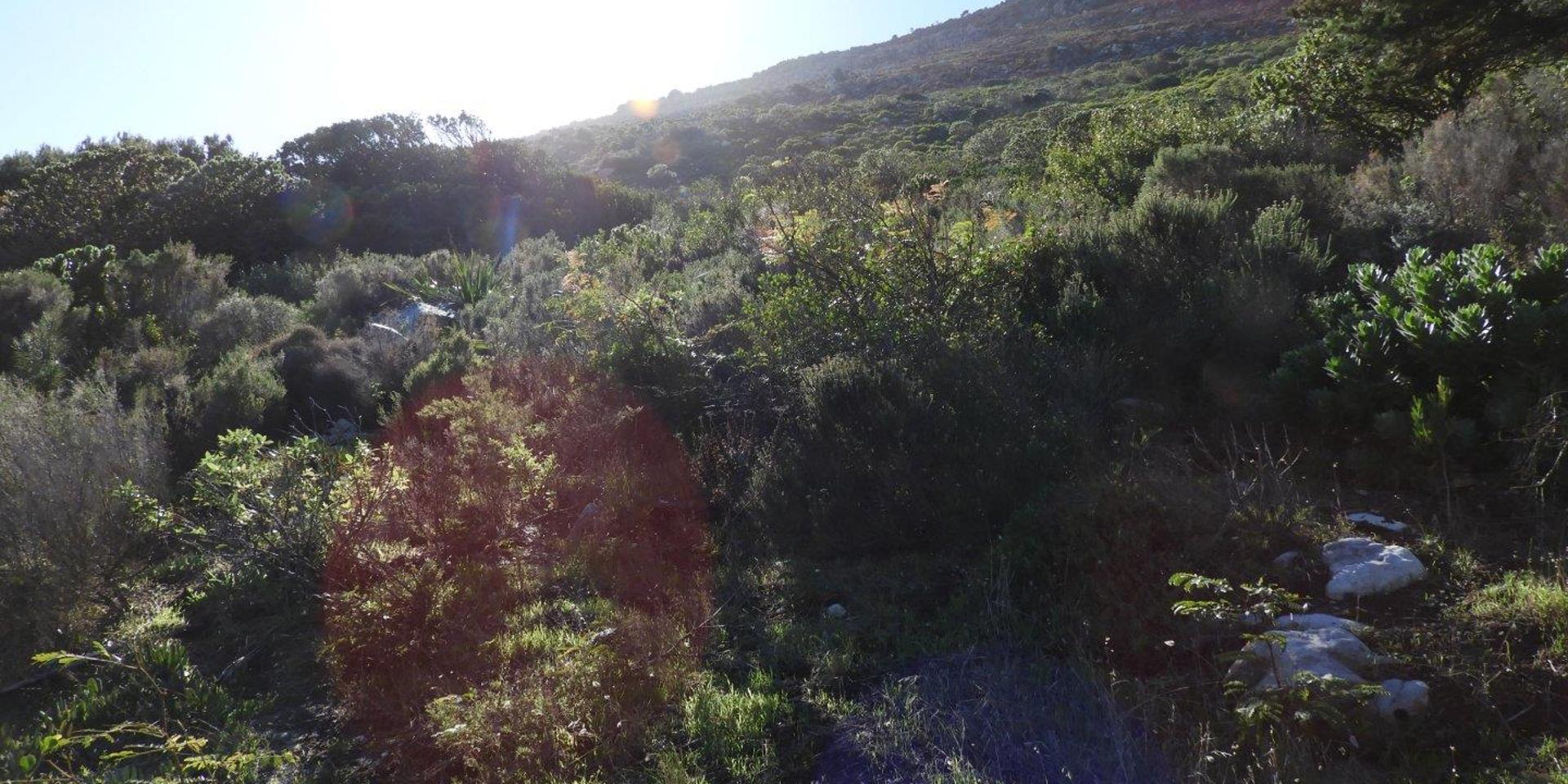 Image 2 of 6
