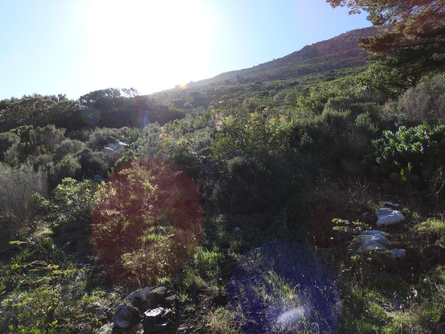 Image 2 of 6