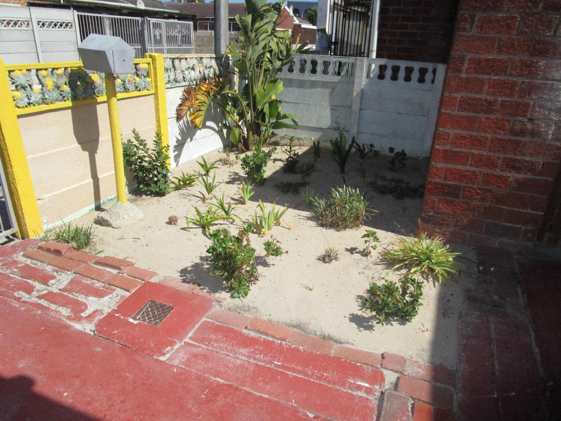 Image 13