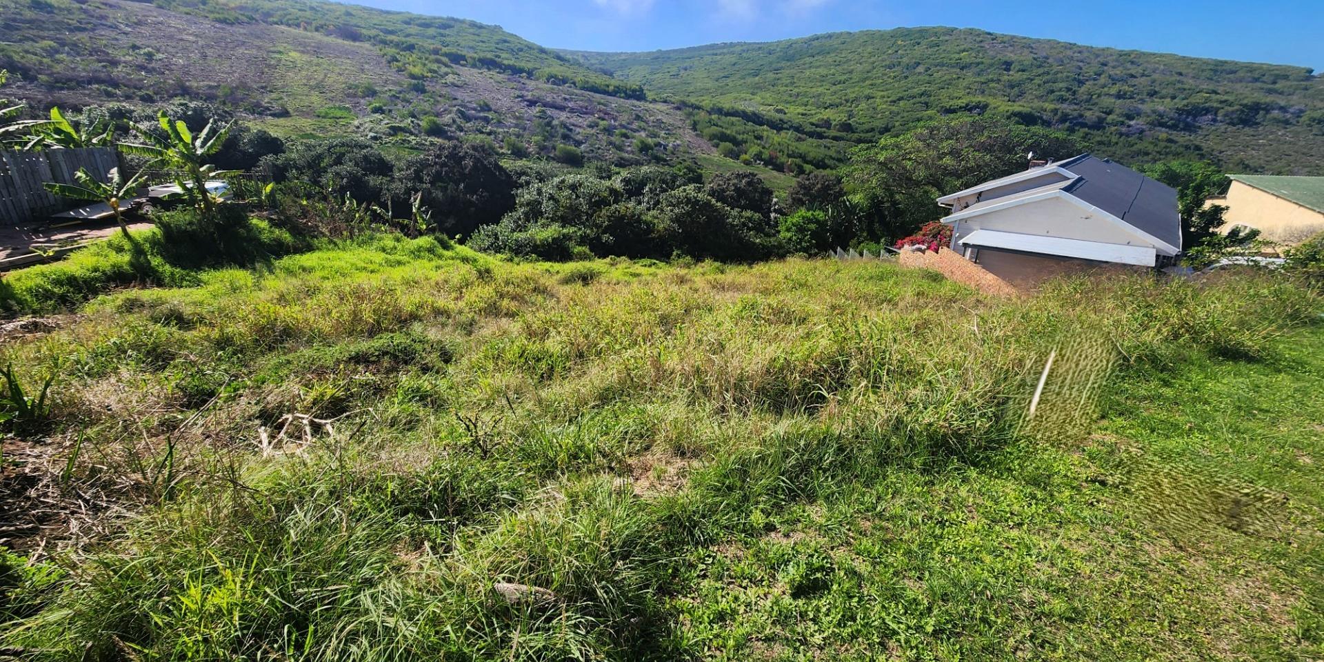 Image 5 of 6