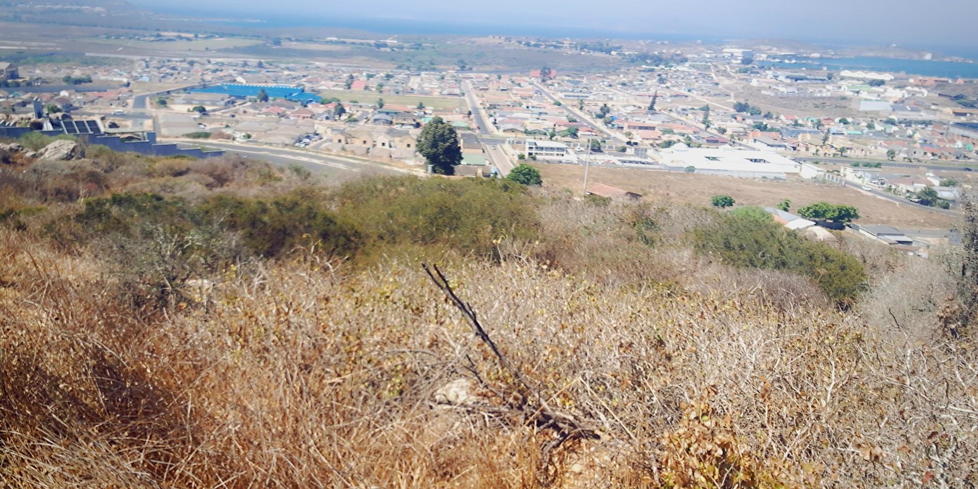 Image 4 of 6