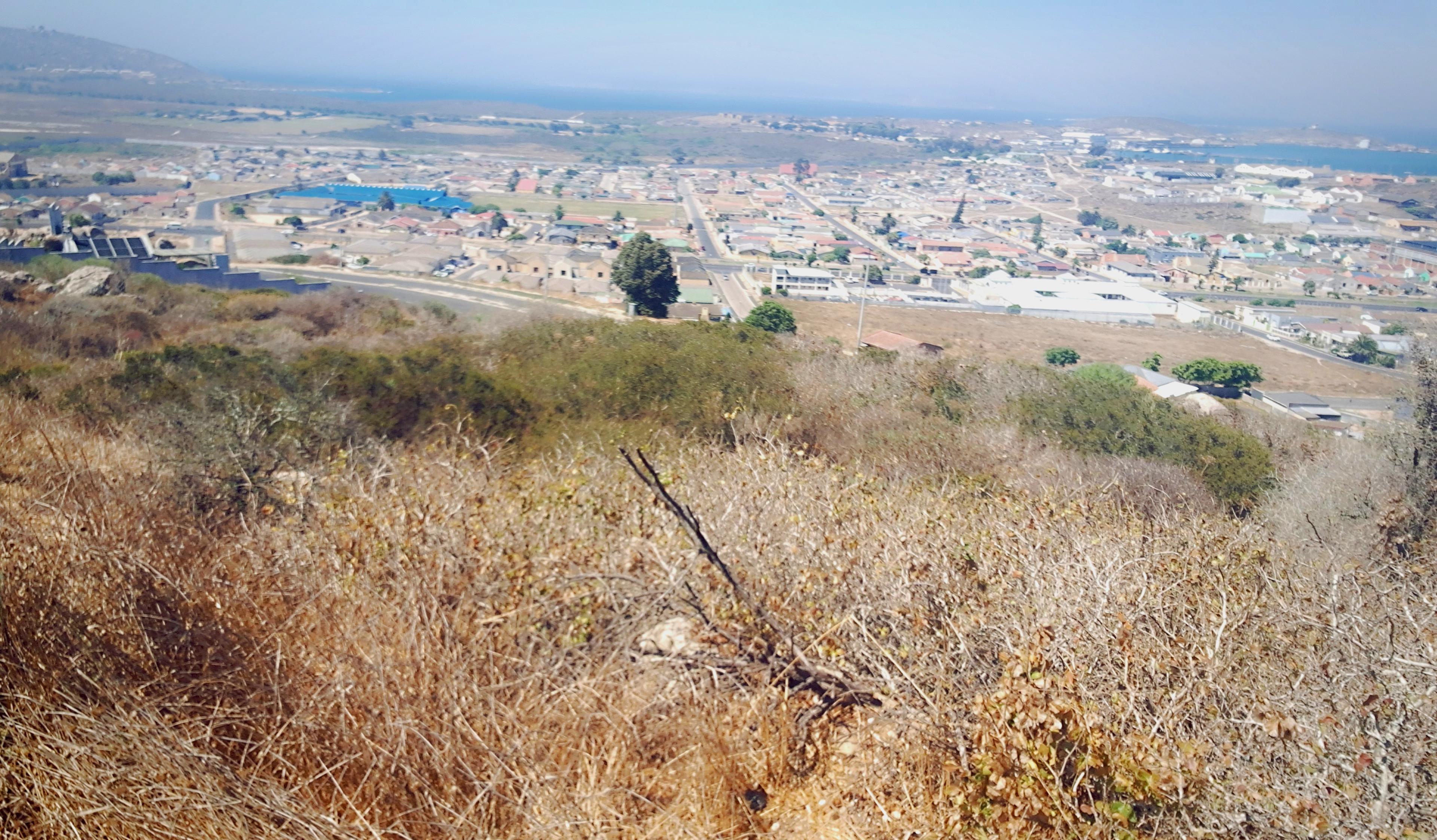 Image 4 of 6