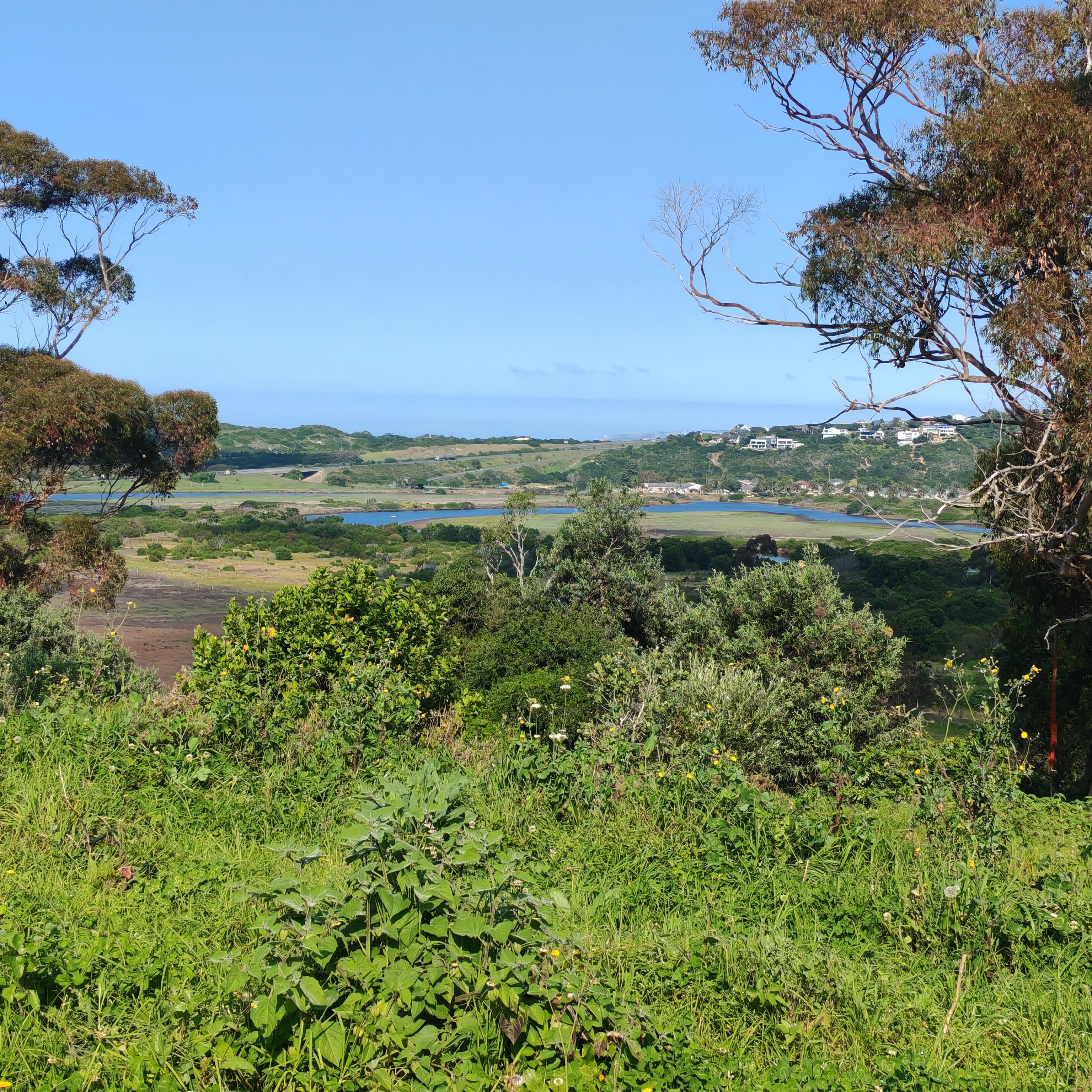 Image 15