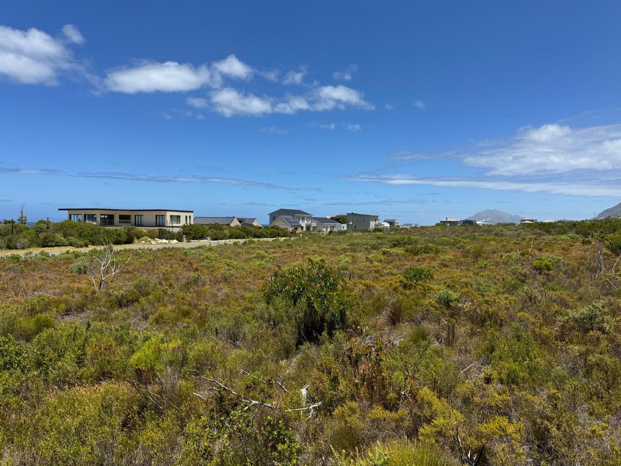 Image 4 of 6