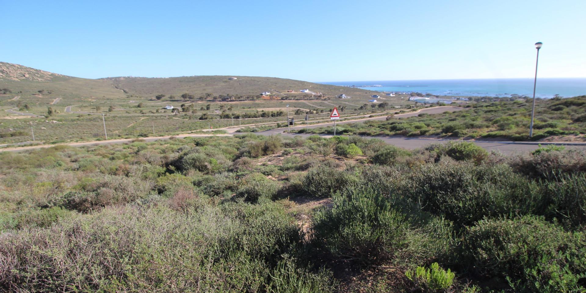 Image 3 of 6