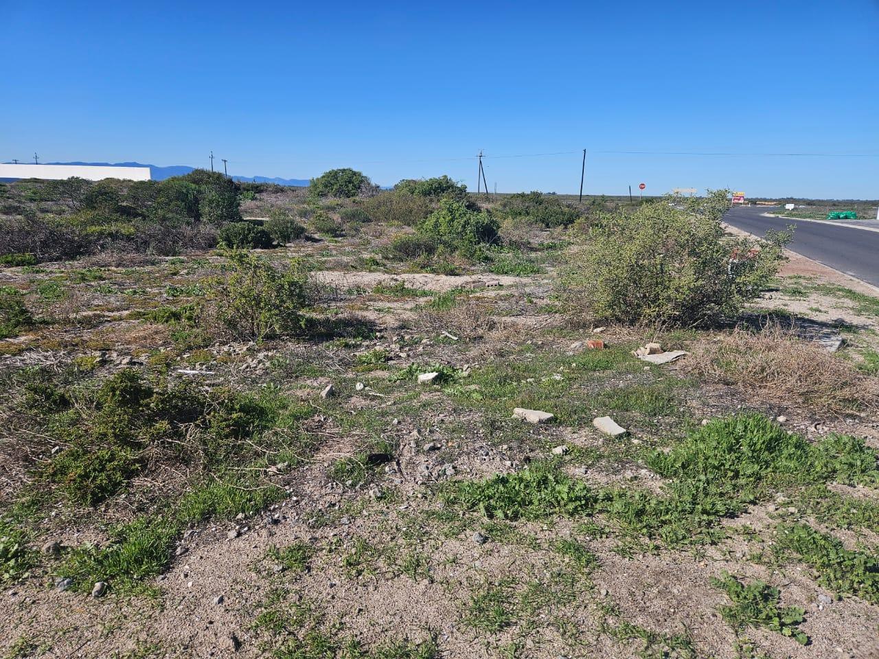 Image 4 of 6