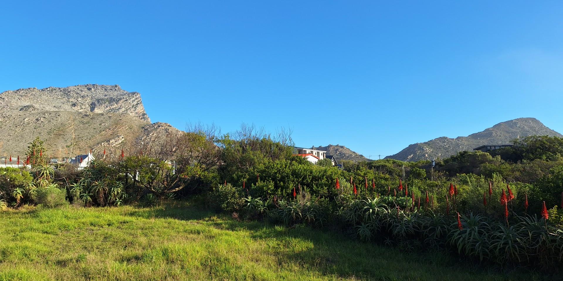 Image 4 of 6