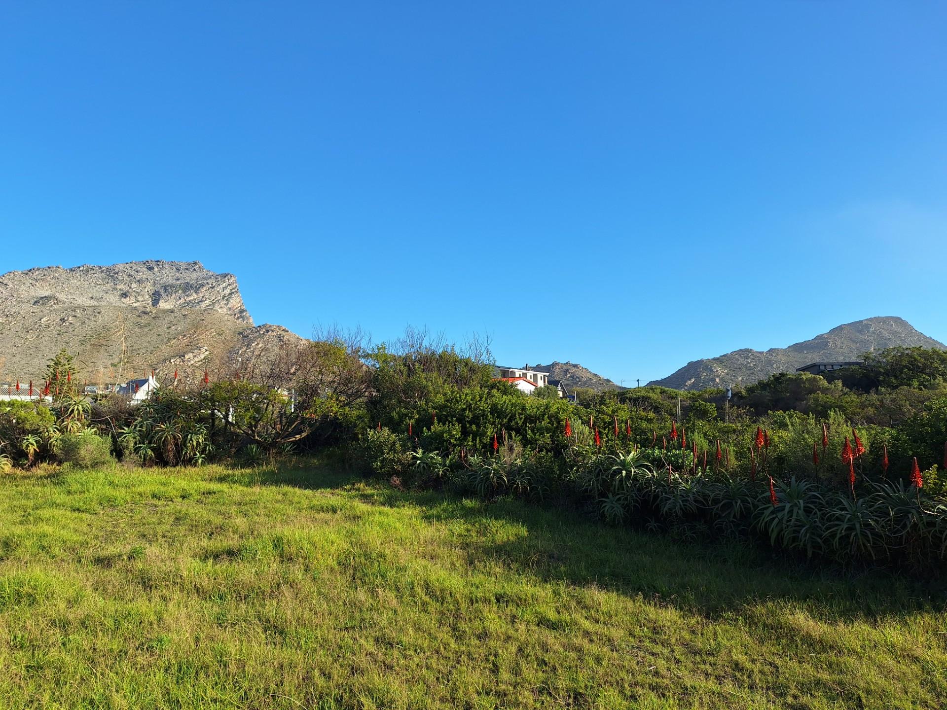 Image 4 of 6