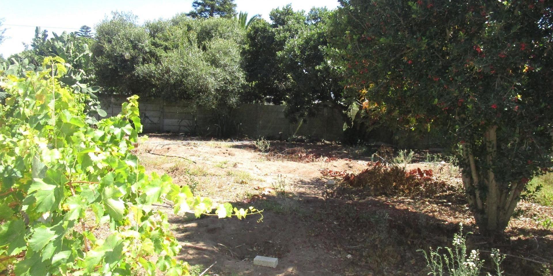Image 2 of 6