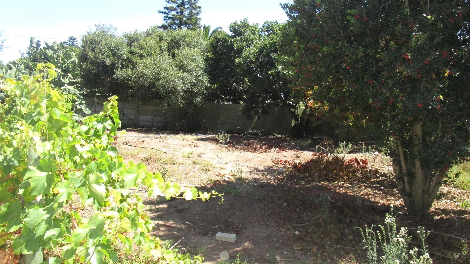 Image 2 of 6