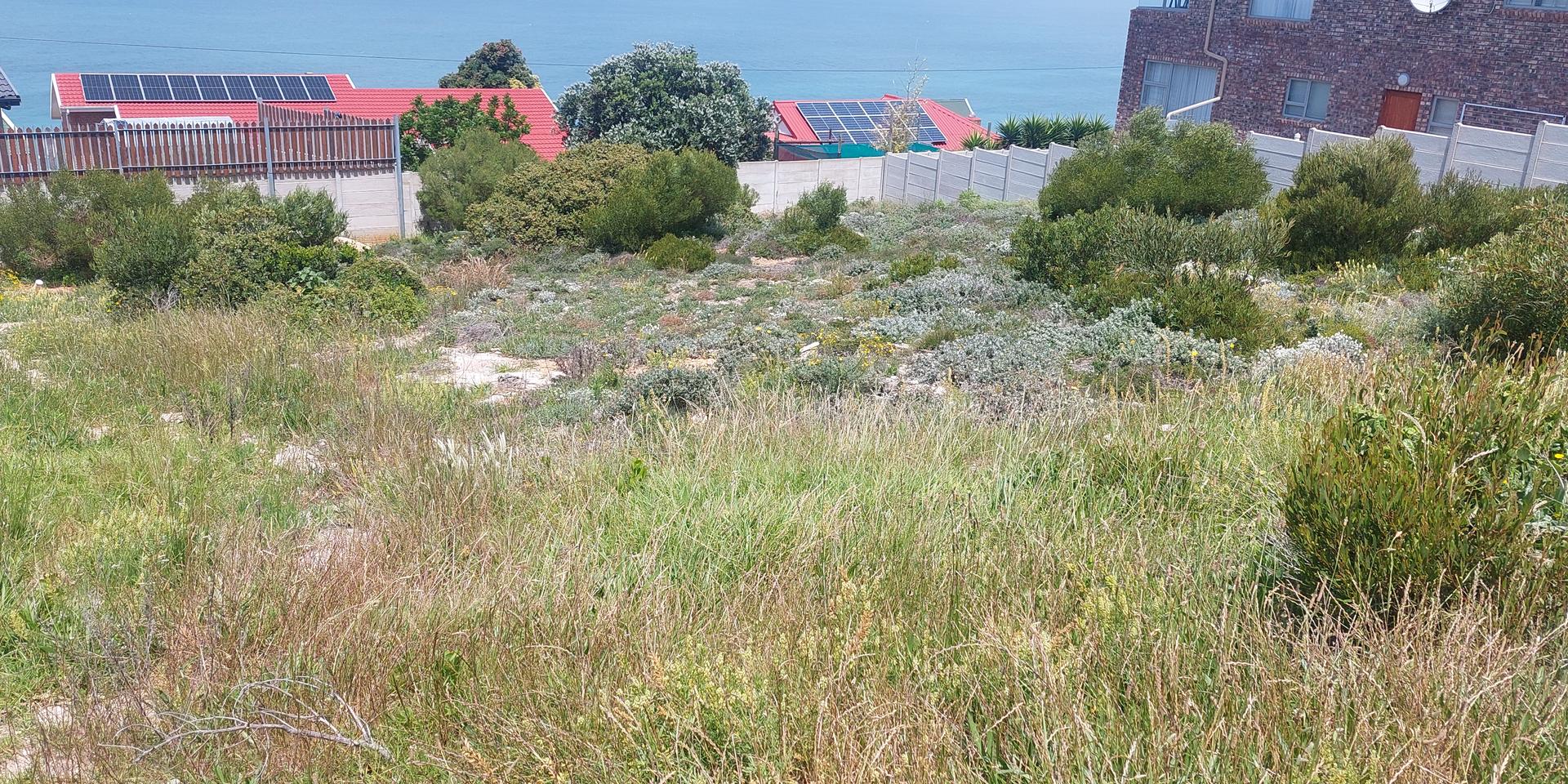 Image 5 of 6