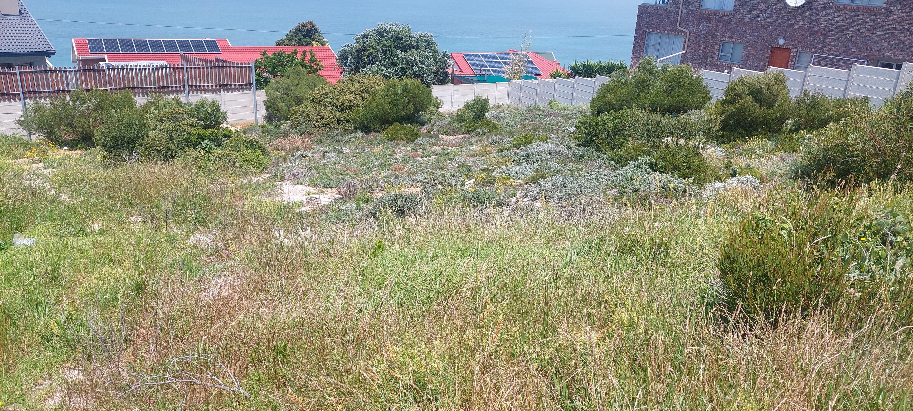 Image 5 of 6