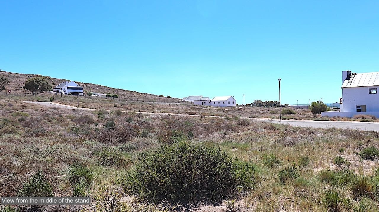 Image 14
