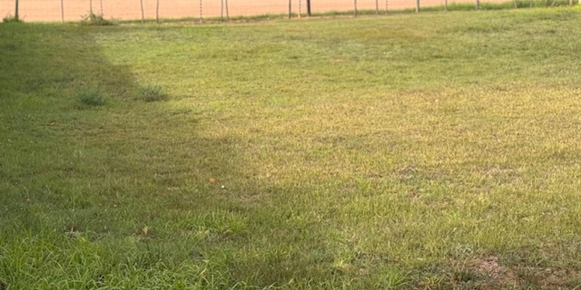 Image 4 of 6