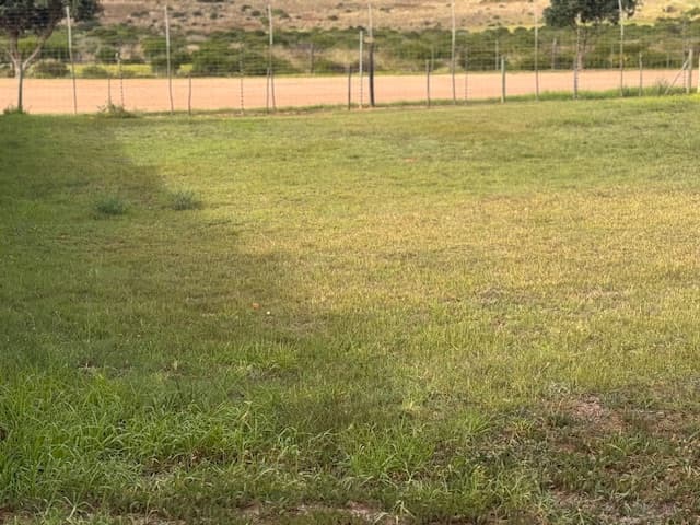 Image 4 of 6