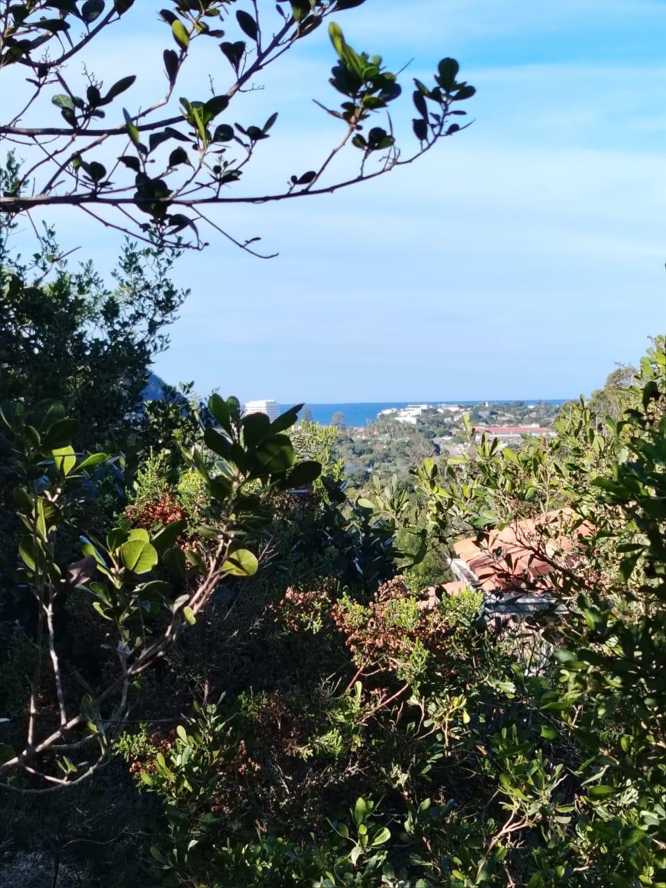 Image 2 of 6