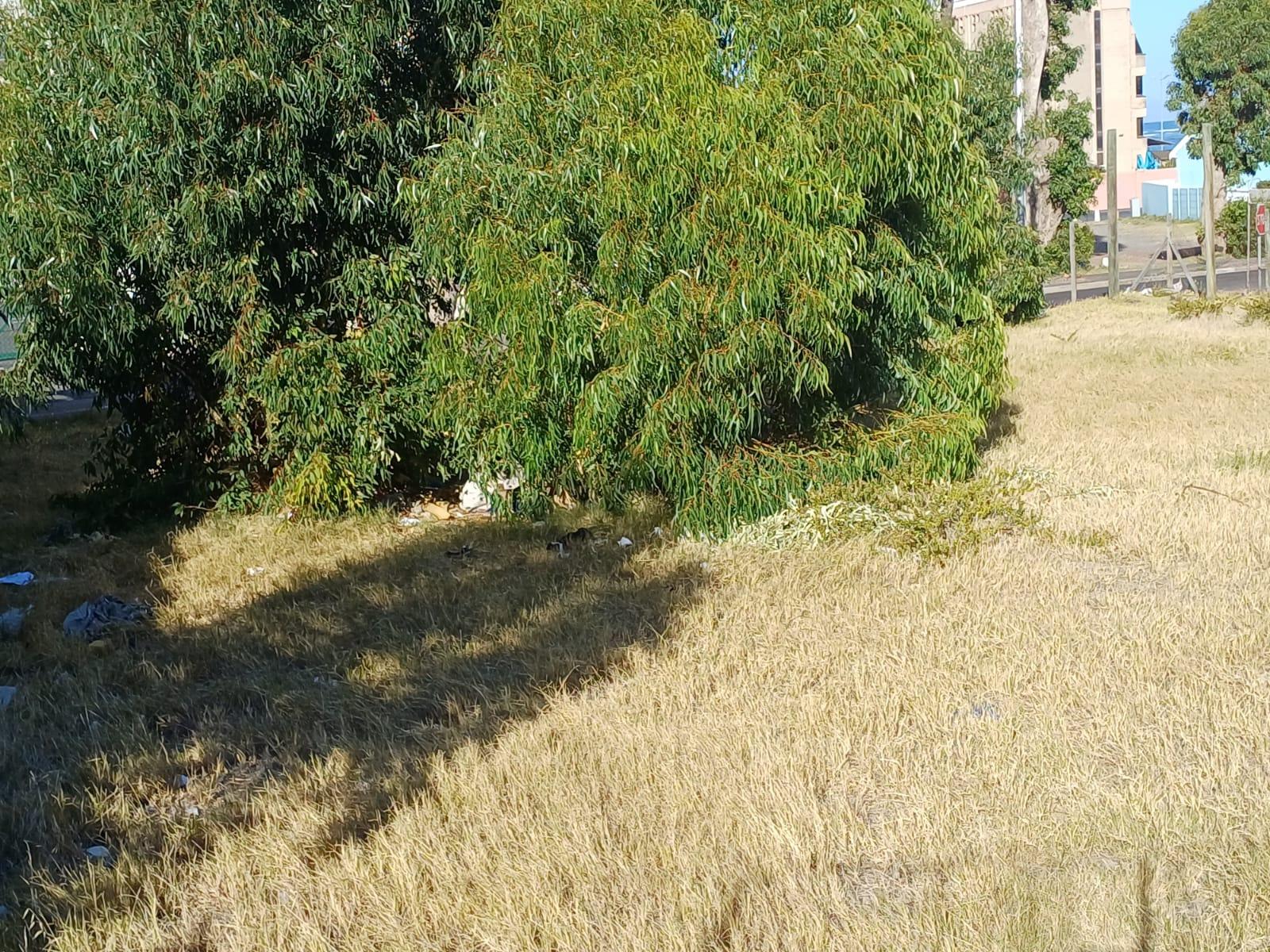 Image 13