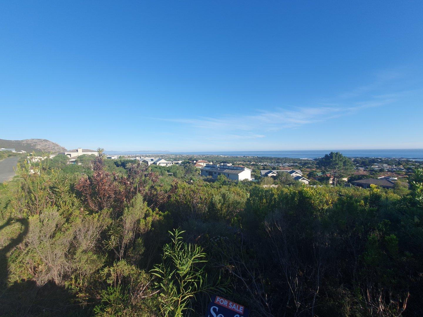 Image 5 of 6