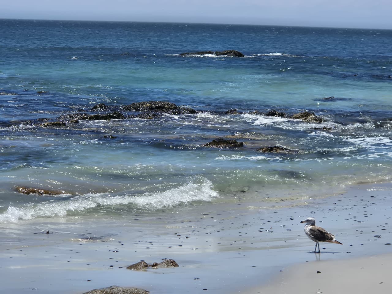 Image 9