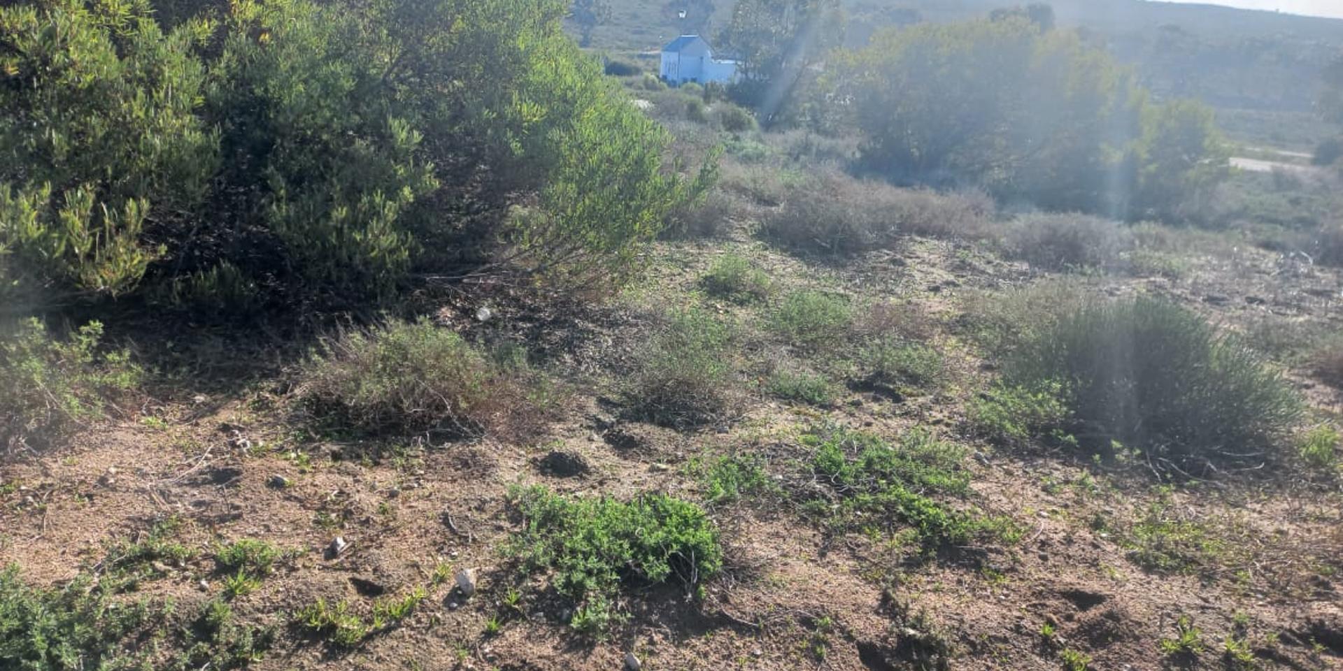 Image 4 of 6