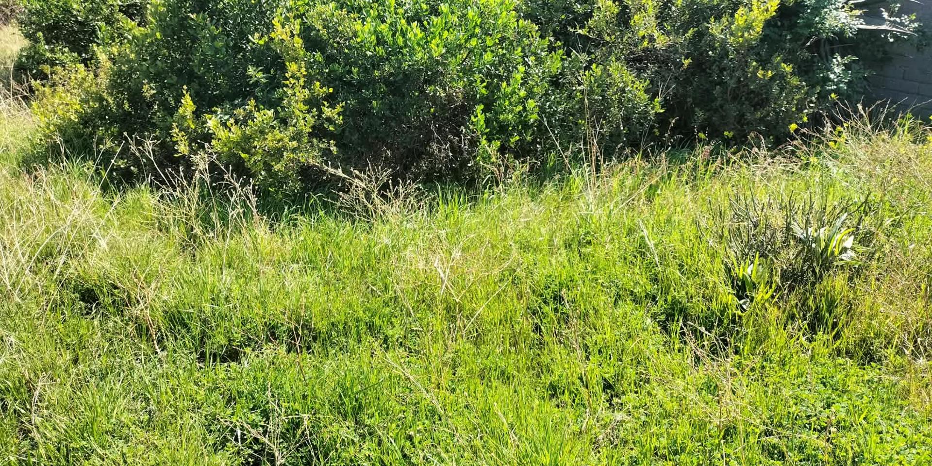 Image 4 of 6