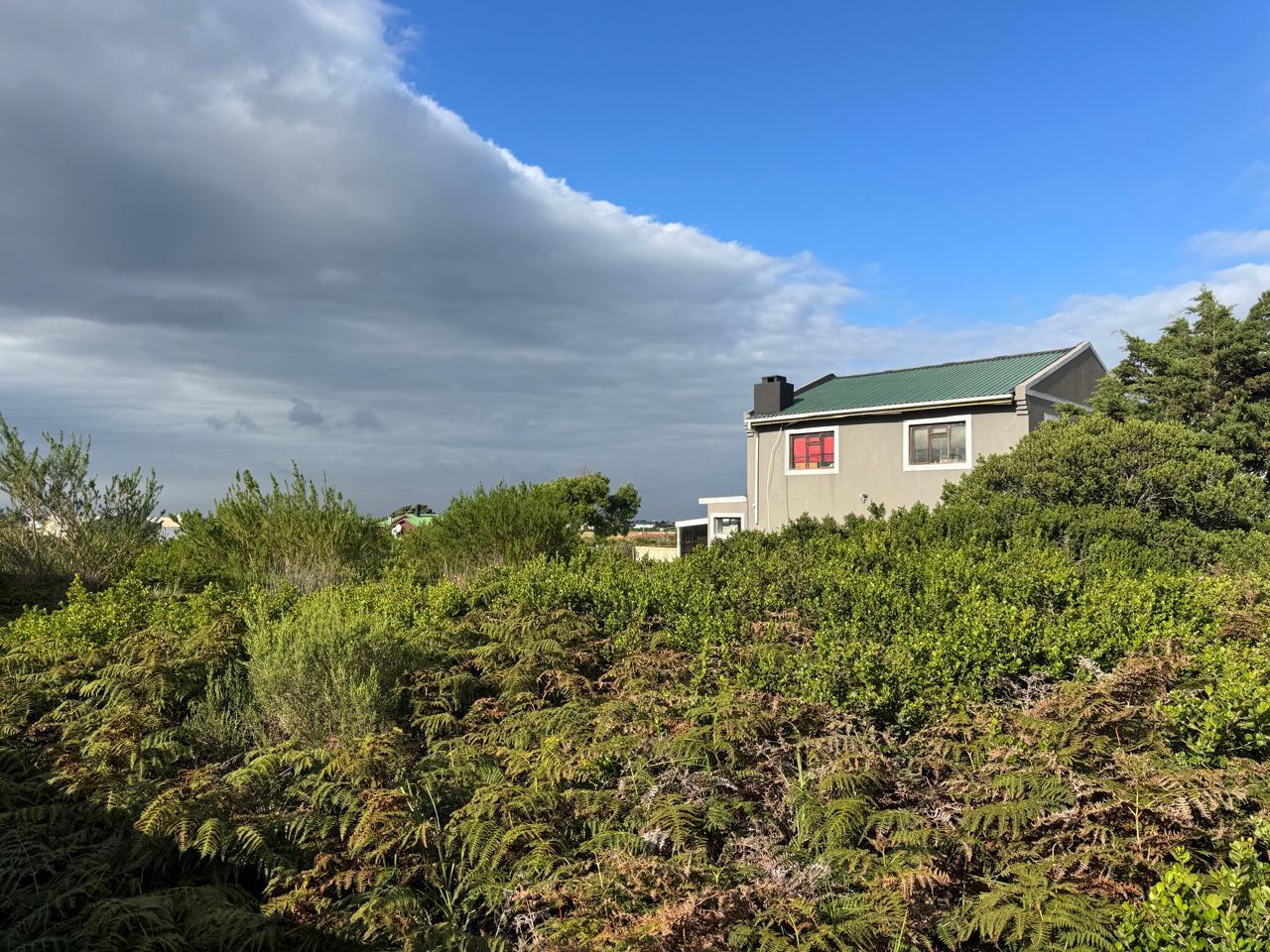 Image 10