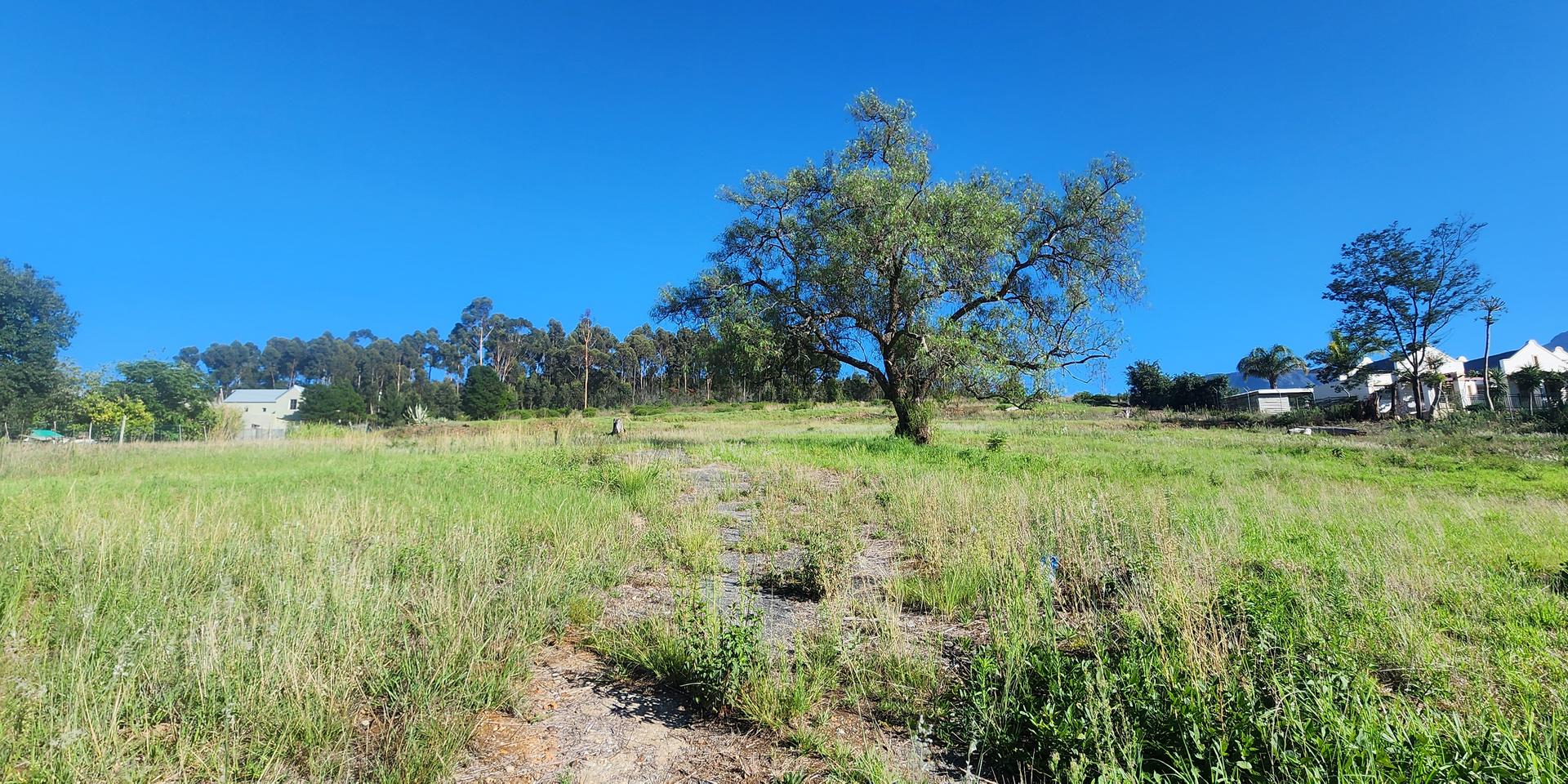 Image 4 of 6