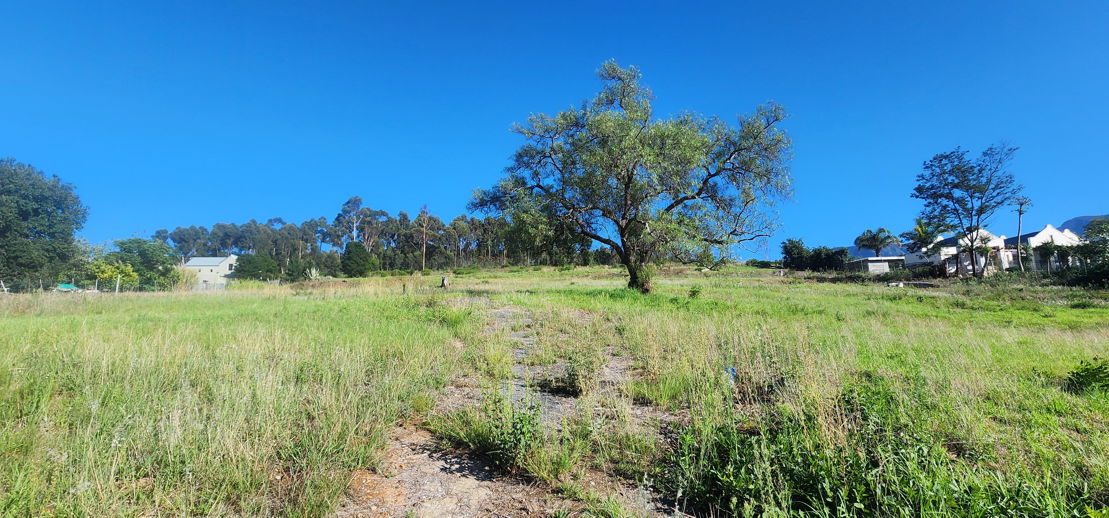 Image 4 of 6