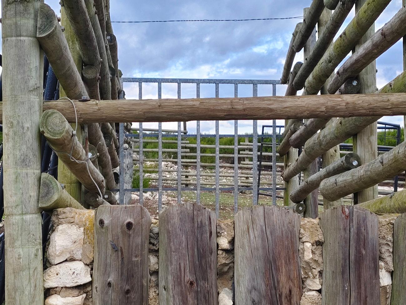 Image 26