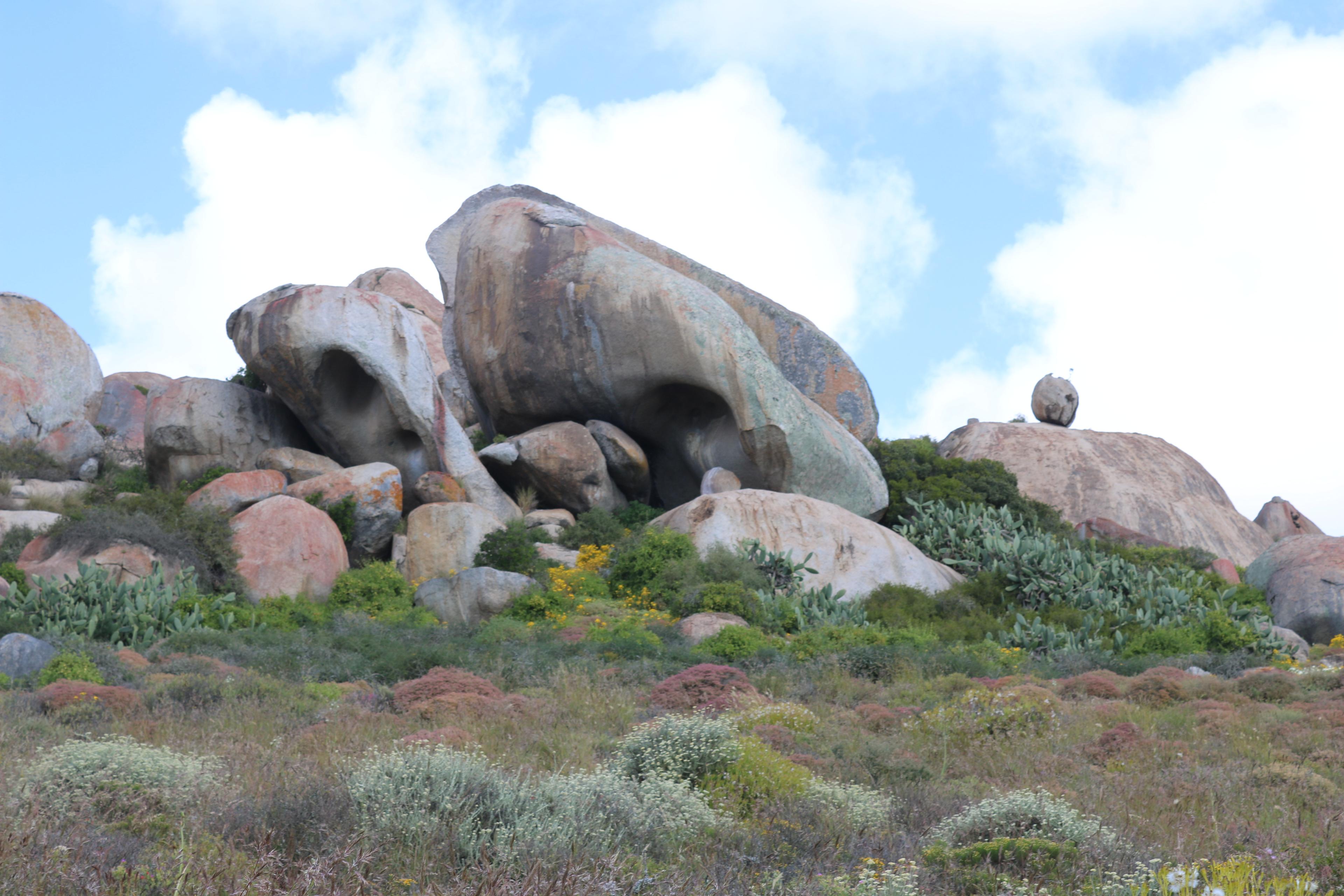 Image 13