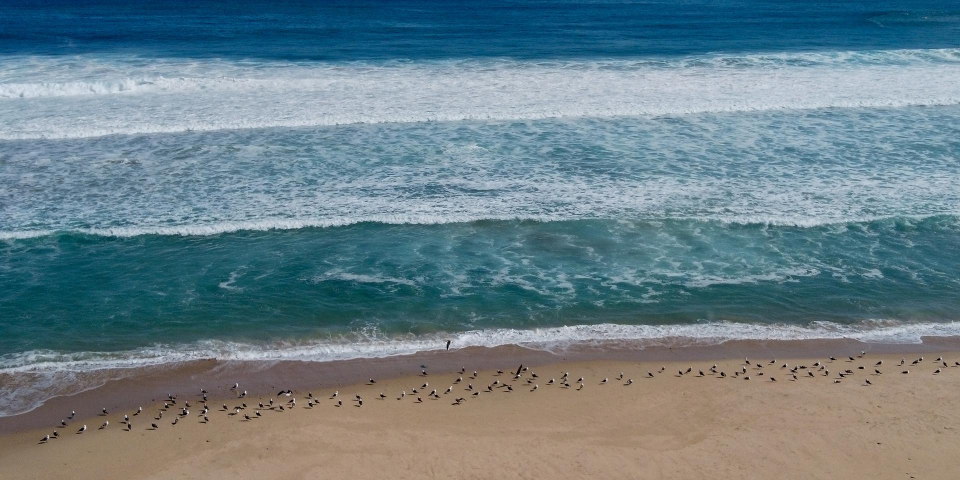 Image 5 of 6