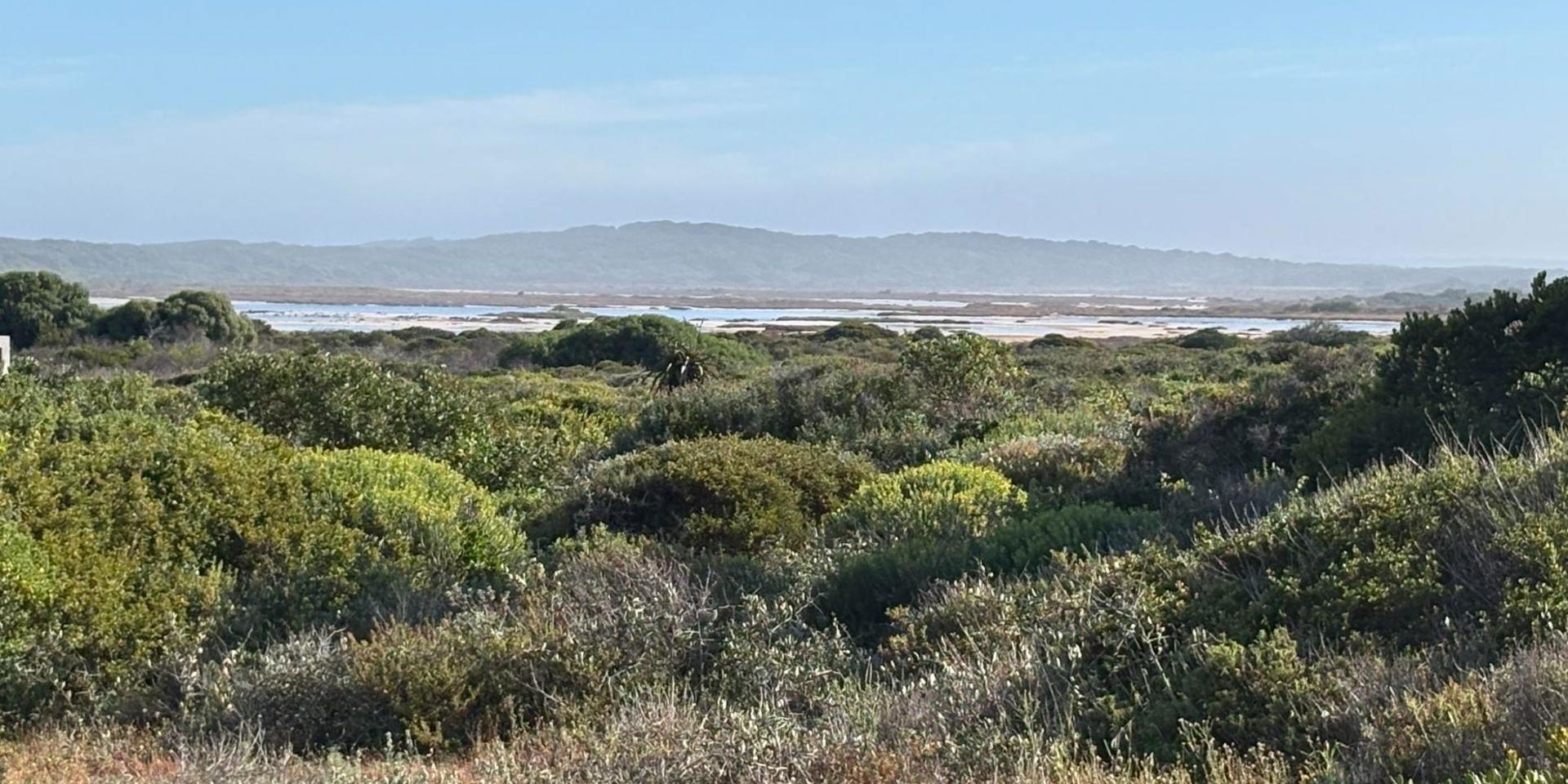 Image 4 of 6