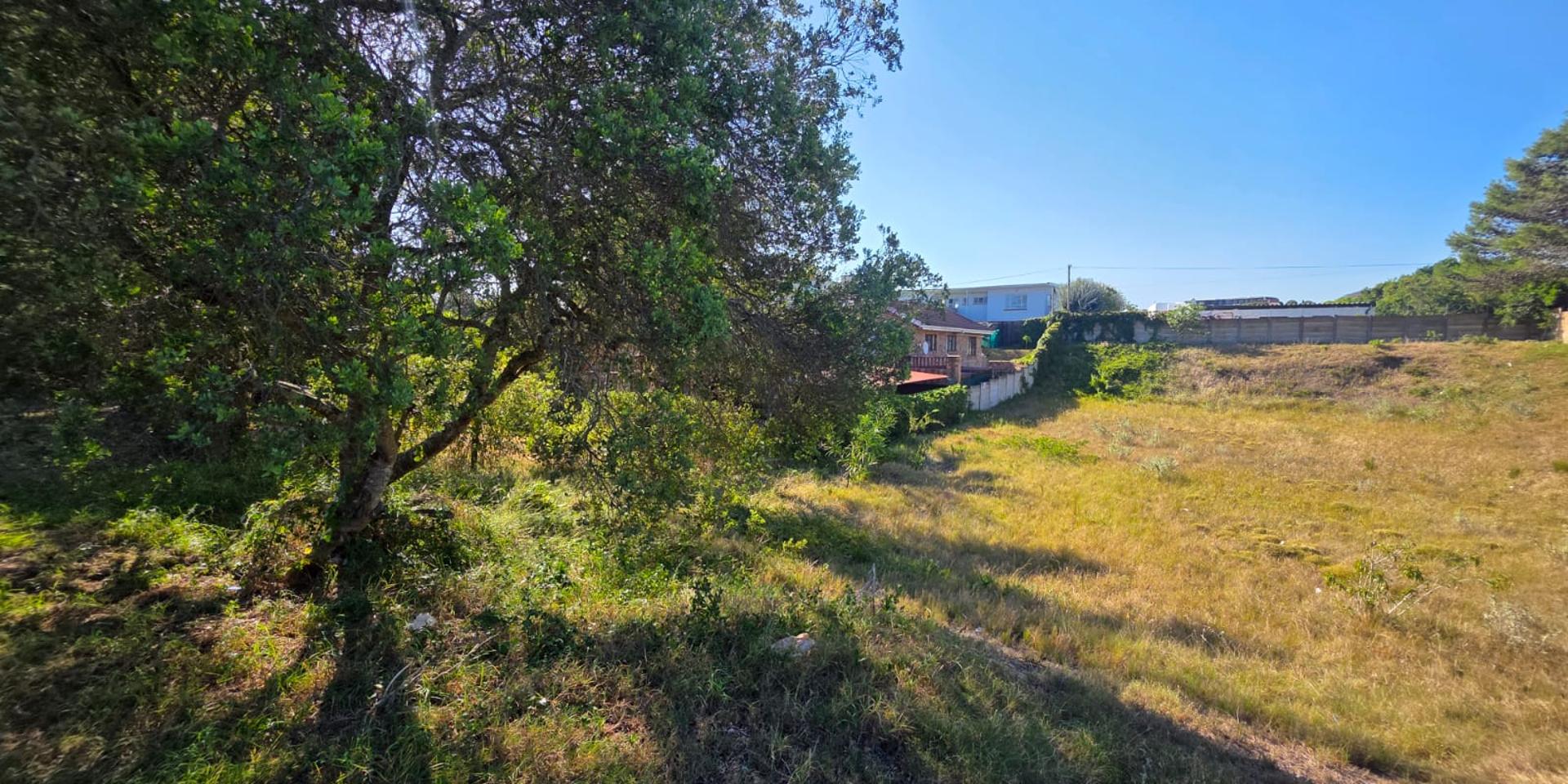 Image 4 of 6