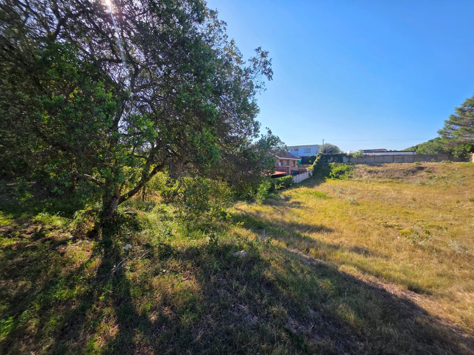 Image 4 of 6